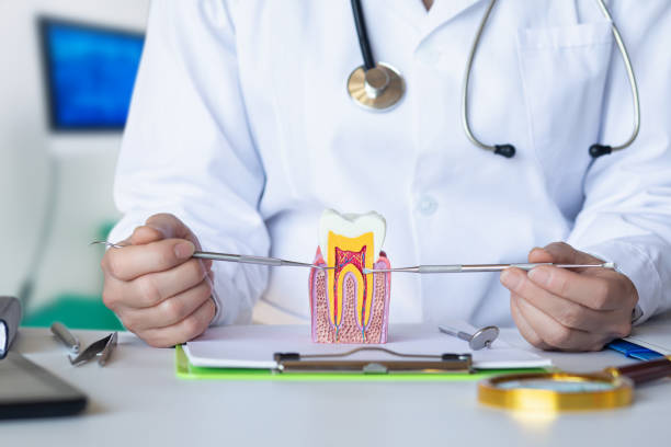 Best After-Hours Dental Care in Stevensville, MI